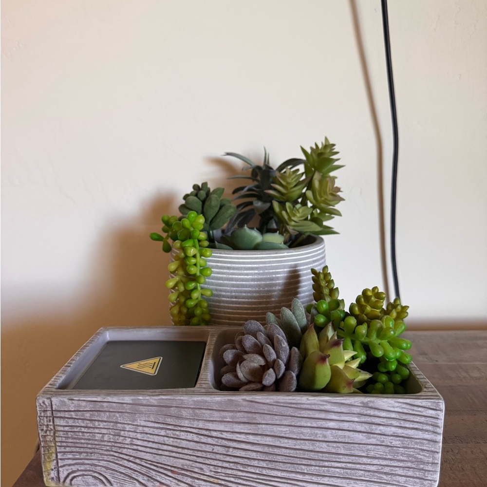 Scentsy Gray and Green Succulent Planter